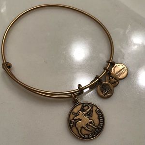 Alex and Ani Sagittarius Gold bracelet